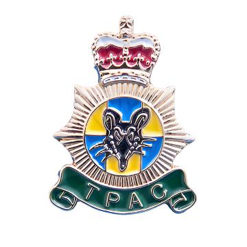 TPAC Lapel Pin